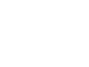 DEPRICE Consulting